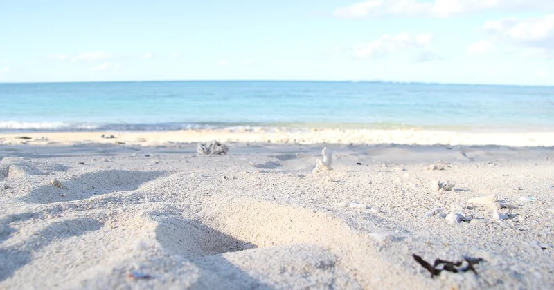 Comment choisir votre plage secrète selon votre profil